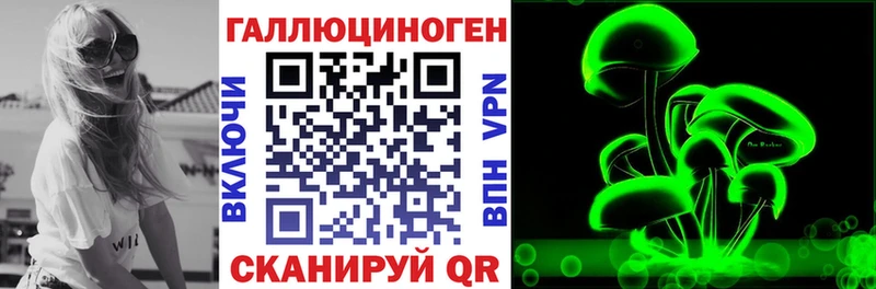 Псилоцибиновые грибы Psilocybe  Баксан 